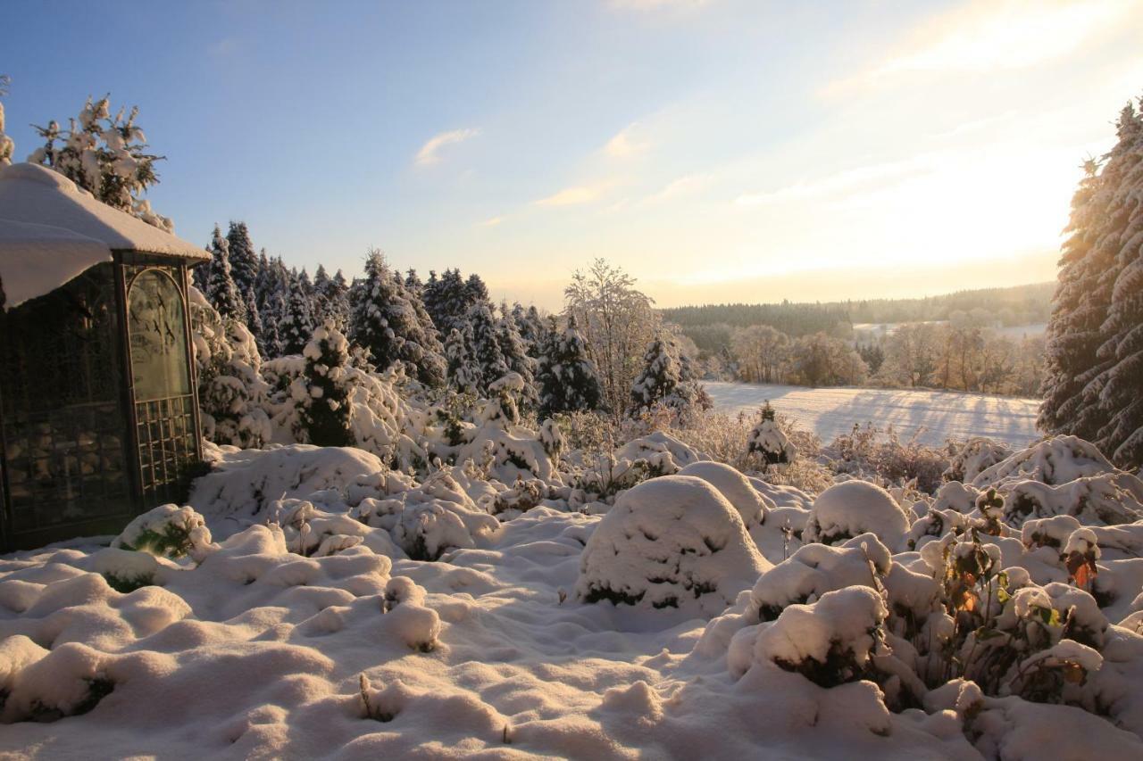 Willa Ferienhaus Sonne, Harz Und Sterne Hohegeiß Zewnętrze zdjęcie