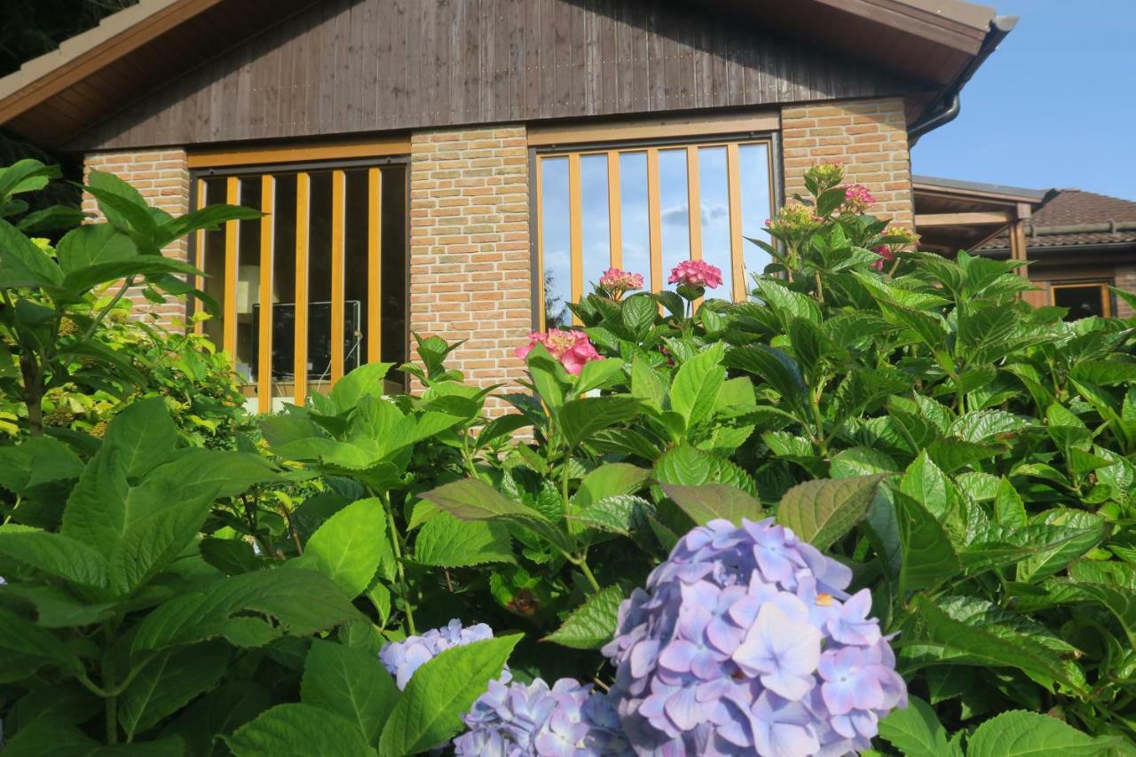 Willa Ferienhaus Sonne, Harz Und Sterne Hohegeiß Zewnętrze zdjęcie